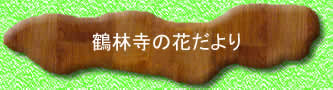 �ߗю��@�Ԃ����