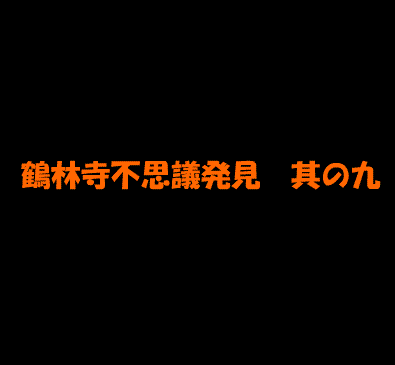 ご本尊は何歳?